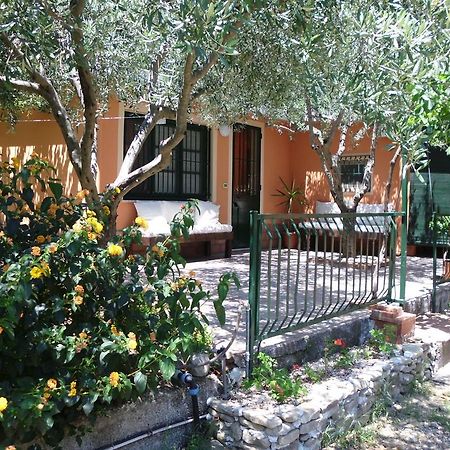 Il Vigneto "Cottage" Gaggi Quarto foto